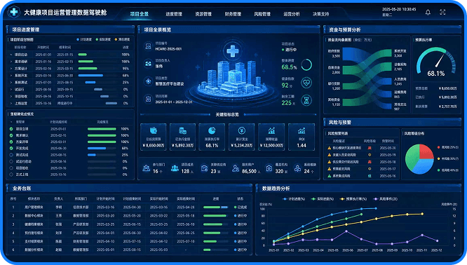 大健康数智化项目运营服务